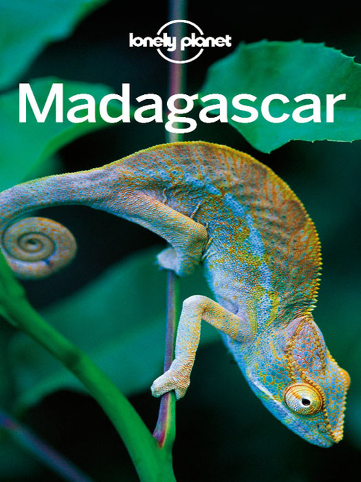 Cover image for Madagascar Travel Guide